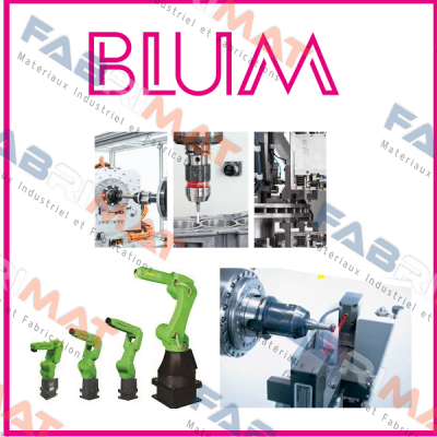 P87.0634-013 Blum