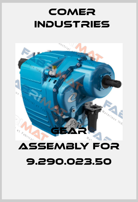gear assembly for 9.290.023.50 Comer Industries