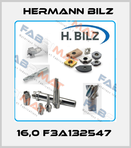 16,0 F3A132547  Hermann Bilz