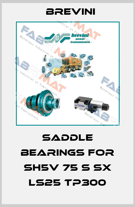 Saddle bearings for SH5V 75 S SX LS25 TP300 Brevini