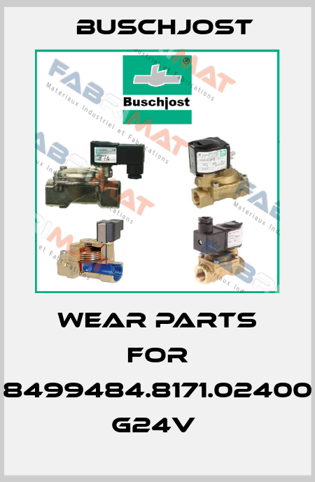 WEAR PARTS FOR 8499484.8171.02400 G24V  Buschjost