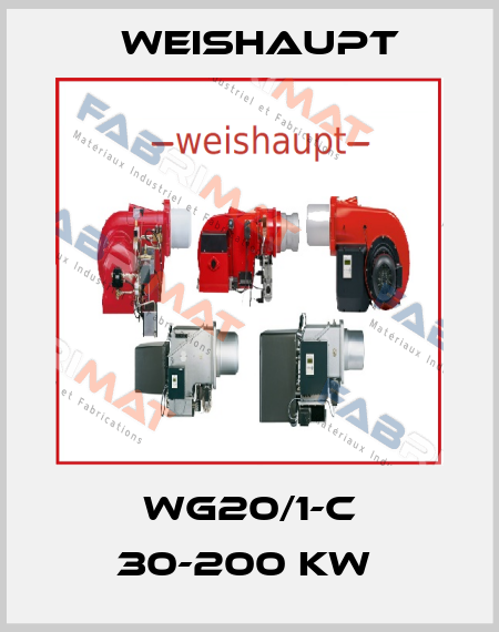 WG20/1-C 30-200 KW  Weishaupt