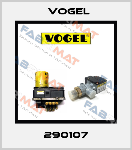 290107 Vogel