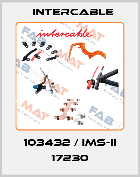103432 / IMS-II 17230 Intercable