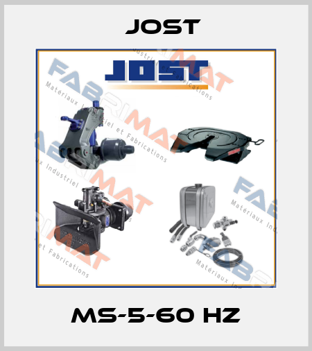 MS-5-60 Hz Jost