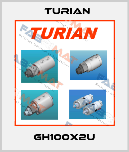 GH100X2U Turian