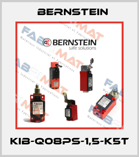 KIB-Q08PS-1,5-K5T Bernstein