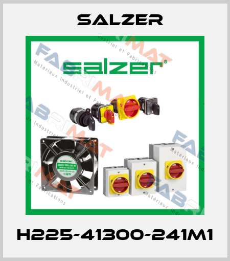 H225-41300-241M1 Salzer
