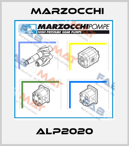 ALP2020 Marzocchi