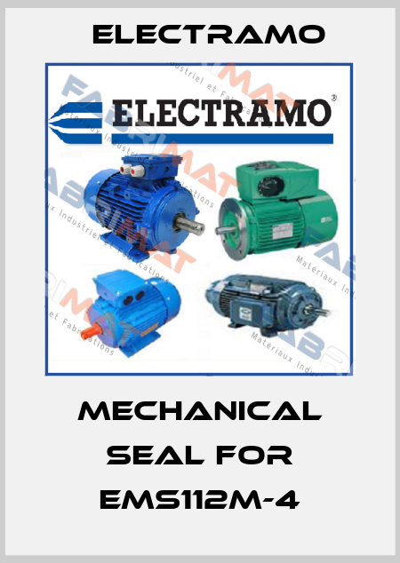 Mechanical seal for EMS112M-4 Electramo