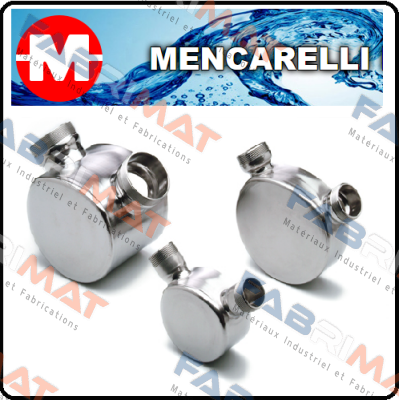 QUAD-240  AISI-316  FPM / 532 Mencarelli