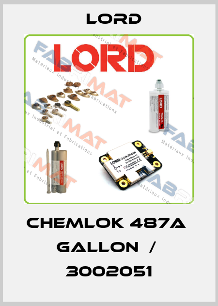 CHEMLOK 487A   GALLON  /  3002051 Lord