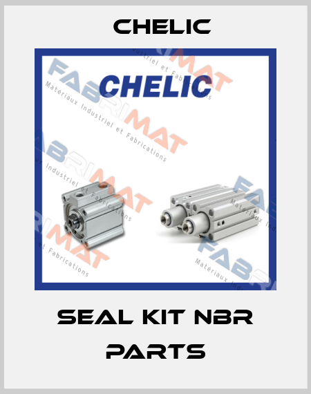 SEAL KIT NBR PARTS Chelic
