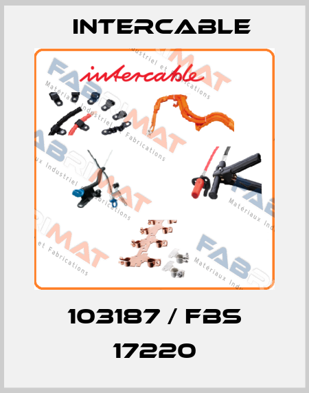 103187 / FBS 17220 Intercable