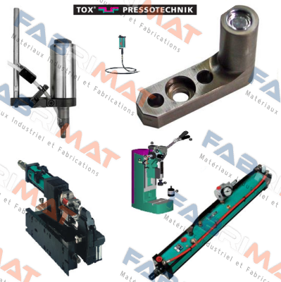 EPMS 025.030.250.001.A.XXX Tox Pressotechnik