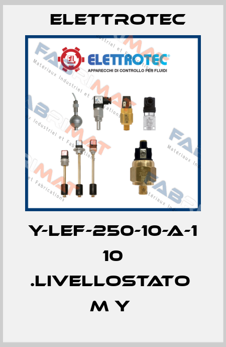 Y-LEF-250-10-A-1 10 .LIVELLOSTATO  M Y  Elettrotec
