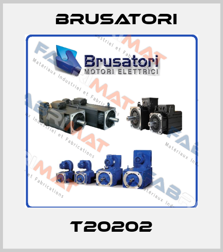 T20202 Brusatori