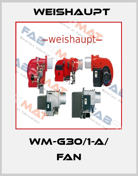 WM-G30/1-A/ fan Weishaupt