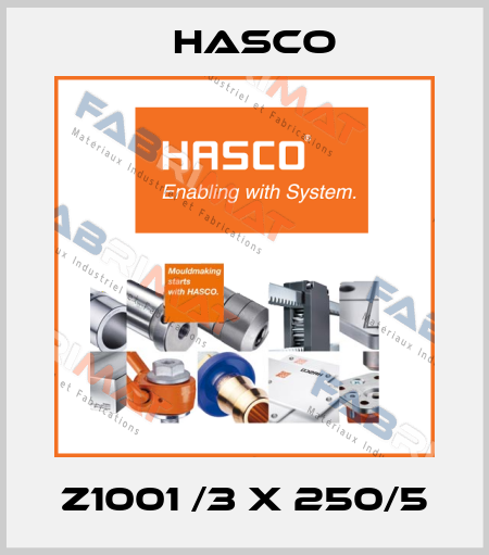 Z1001 /3 X 250/5 Hasco