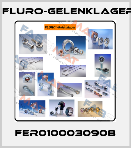 FER0100030908 FLURO-Gelenklager