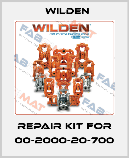repair kit for 00-2000-20-700 Wilden