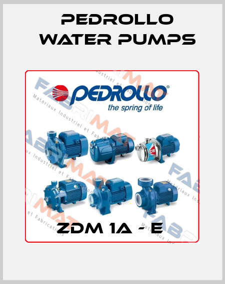 ZDM 1A - E  Pedrollo Water Pumps