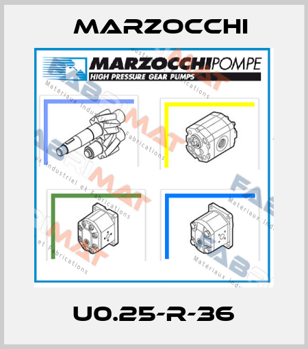 U0.25-R-36 Marzocchi