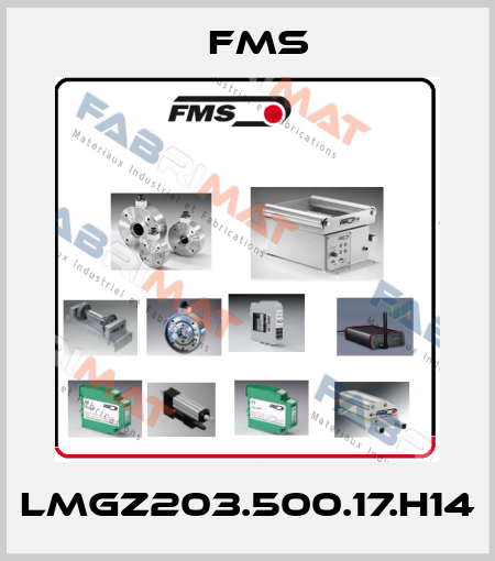 LMGZ203.500.17.H14 Fms