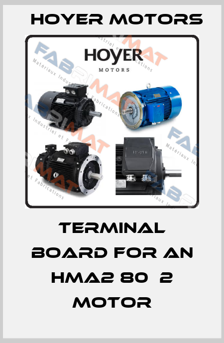 terminal board for an HMA2 80  2 motor Hoyer Motors
