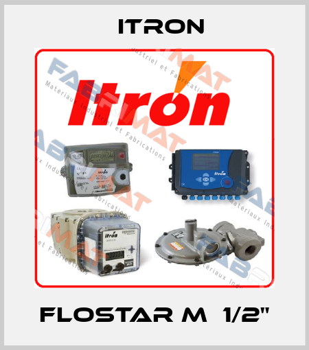 FLOSTAR M  1/2" Itron