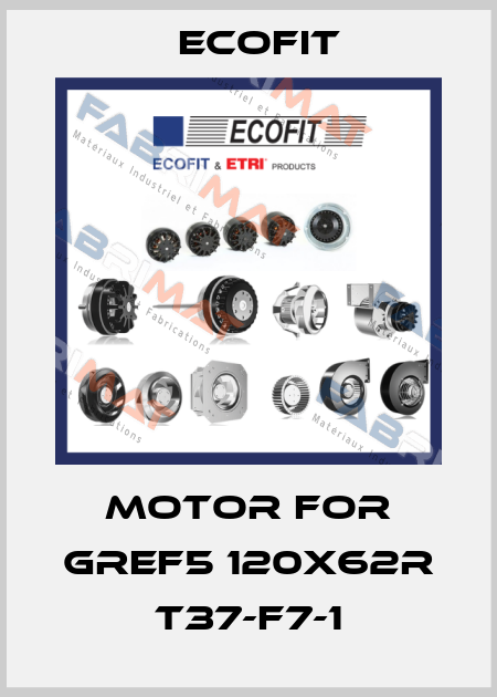 motor for GREF5 120X62R T37-F7-1 Ecofit