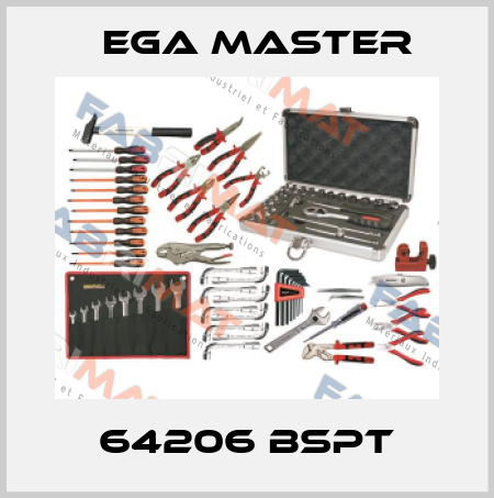 64206 BSPT EGA Master