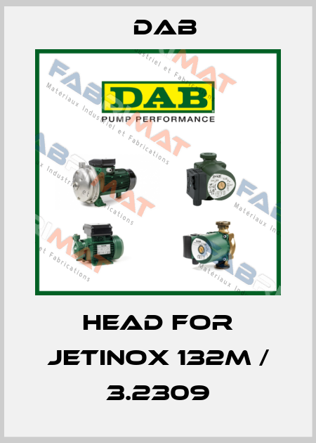 Head For JETINOX 132M / 3.2309 DAB