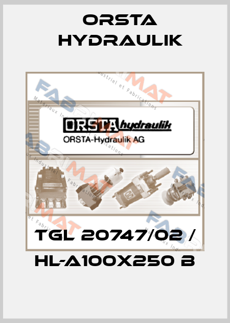 TGL 20747/02 10/80 /100x250 Orsta Hydraulik