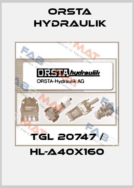 TGL 20747/02 10/80  / 40x160 Orsta Hydraulik