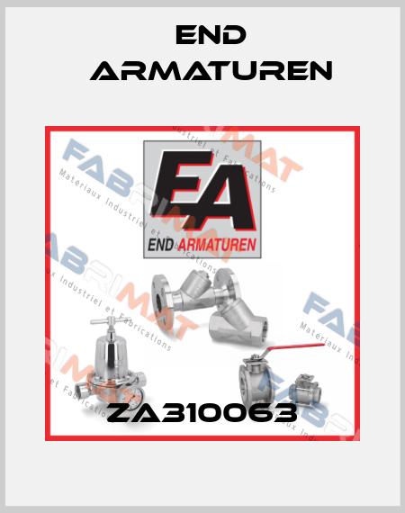 ZA310063 End Armaturen