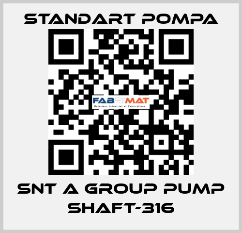 SNT A GROUP PUMP SHAFT-316 STANDART POMPA