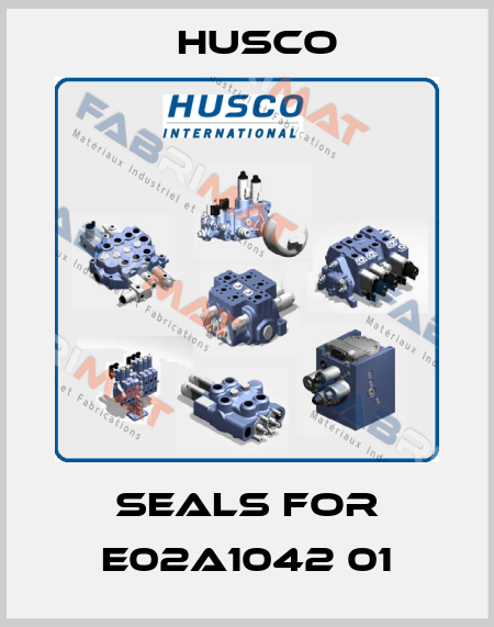 seals for E02A1042 01 Husco