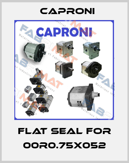 flat seal for 00R0.75x052 Caproni