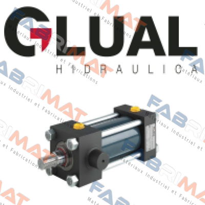 Seal kit for 160/125-100/80-60x3759 Glual Hydraulics