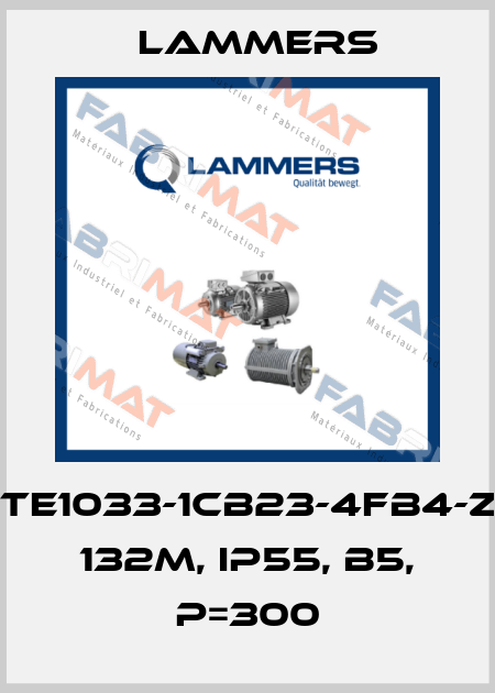1TE1033-1CB23-4FB4-Z, 132M, IP55, B5, P=300 Lammers