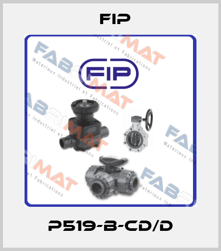 P519-B-CD/D Fip