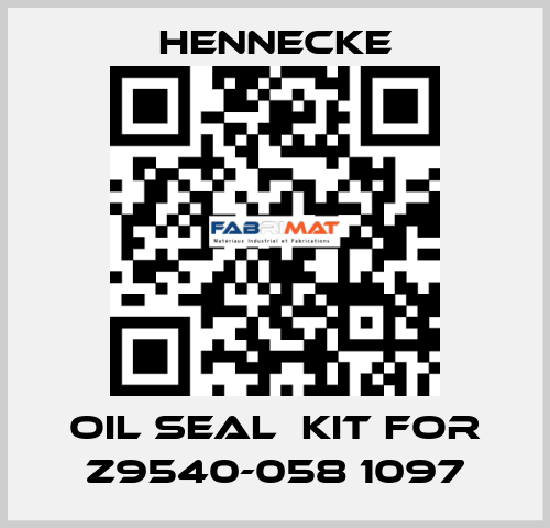 oil seal  kit for Z9540-058 1097 Hennecke