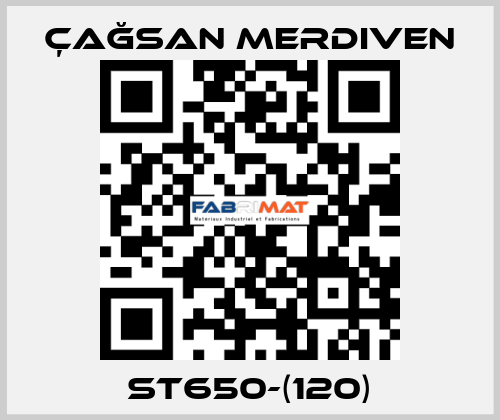 ST650-(120) Çağsan Merdiven