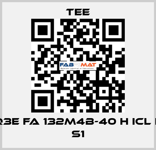 Q3E FA 132M4B-40 H Icl F S1 TEE