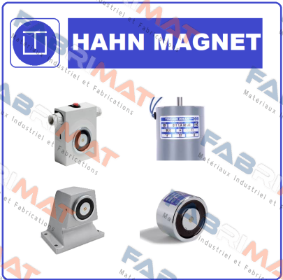 WLF 125 G 21 HAHN-MAGNET (Kendrion)