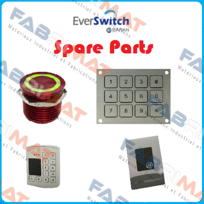 13700148 Everswitch