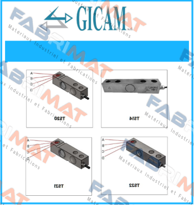 R55 350 ohm / 17-21709 Gicam