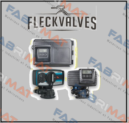 FL16045 Fleck Valves