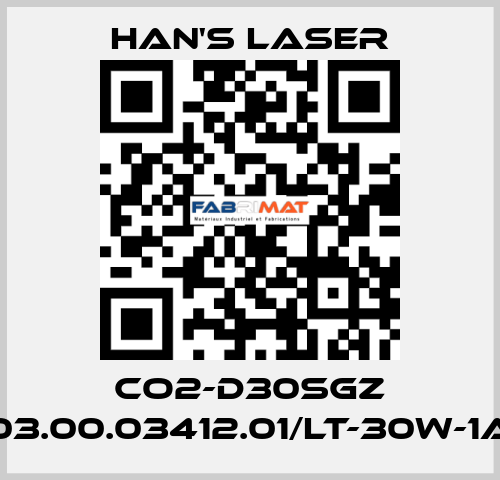 CO2-D30SGZ 03.00.03412.01/LT-30W-1A Han's Laser